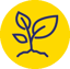 Growth icon